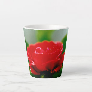 Caneca De Café Latte Rosa vermelha de manhã coberta com gotas de orvalh