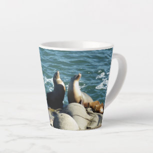 Caneca De Café Latte San Diego Sea Lions