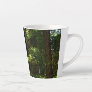 Caneca De Café Latte Sequoias e Fernos no Parque Nacional de Redwood