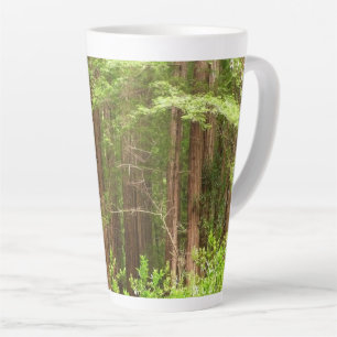 Caneca De Café Latte Sequoias Vermelhas no Monumento Nacional de Muir W