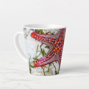 Caneca De Café Latte Starfish, Zanzibar, Tanzânia
