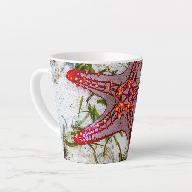 Caneca De Café Latte Starfish, Zanzibar, Tanzânia (Ângulo esquerdo)