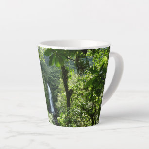 Caneca De Café Latte Traffic Falls Tropical RainForest Fotografia
