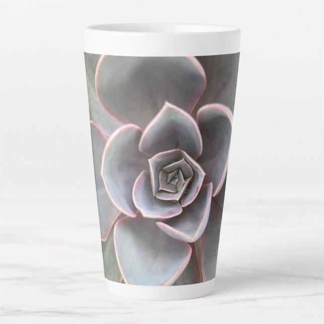 Caneca De Café Latte Verde Echeveria Fechar (Frente)