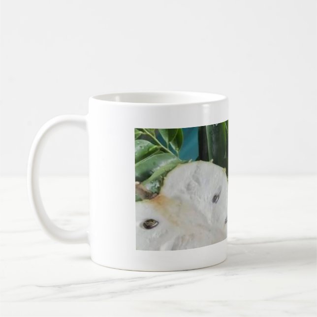 Caneca De Café Le corossol  (Esquerda)