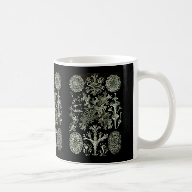 Caneca De Café Lichens (Direita)