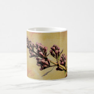 Caneca De Café Lilac