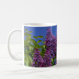 Caneca De Café lilases, imagem lilás real, céu azul, flores rox