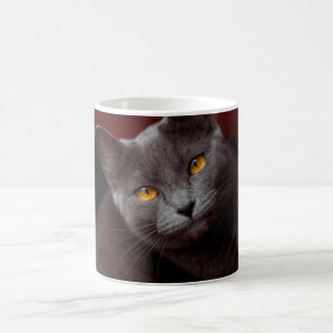 Caneca De Café Linda chartreux