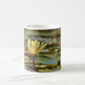 Caneca de Café Lírio de Água Tranquilo – Fotografi