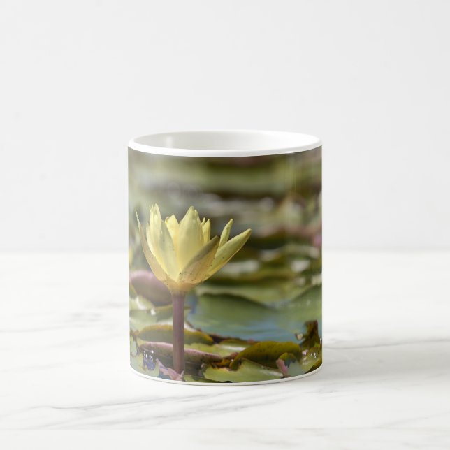Caneca de Café Lírio de Água Tranquilo – Fotografi (Centro)
