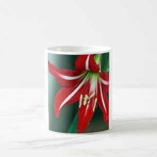 Caneca De Café Lírio vermelho
