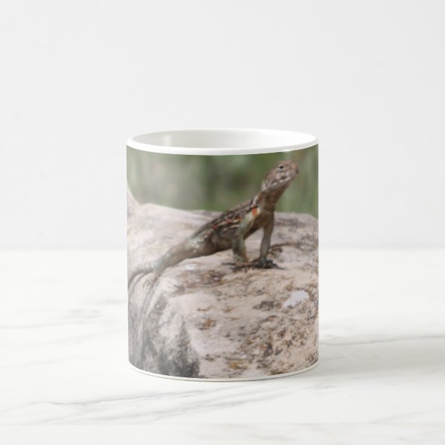 Caneca De Café Lizard (Centro)