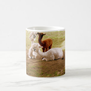 Caneca De Café Llamas Com Bebê Cria