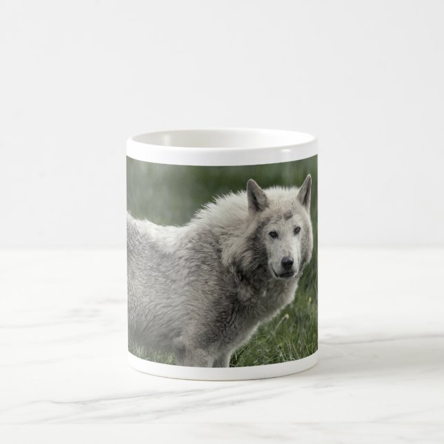 Caneca De Café Lobo-da-madeira (Centro)