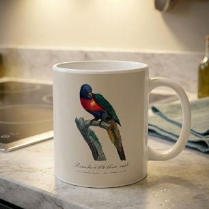 Caneca De Café Loriqueet Arco-íris Macho, Trichoglossus Moluccanu