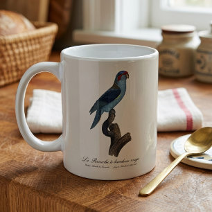 Caneca De Café Loriqueito-azul, Trichoglossus concinnus