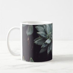 CANECA DE CAFÉ LOTE DE PLANTA SUCCULENTA DE COR ASSORTADA