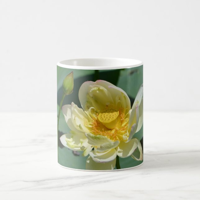 Caneca De Café Lotus Blossom (Centro)