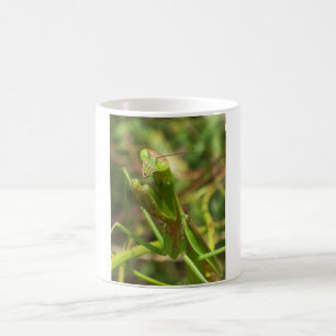 Caneca De Café Louva-a-deus 8482