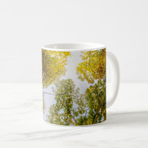 Caneca De Café Luz do Sol Através dos Açafrões de Outono