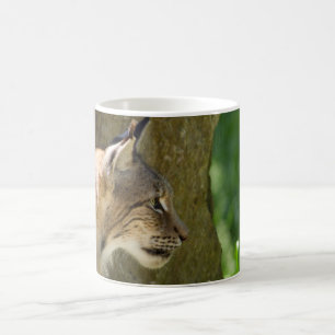 Caneca De Café Lynx Eurasiano