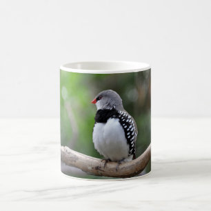 Caneca De Café Maçã branca e preta