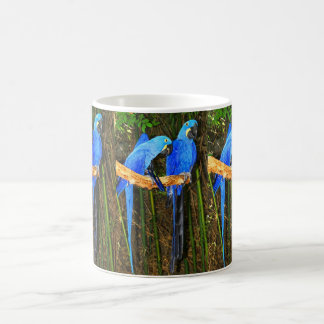Caneca De Café Macaws do jacinto