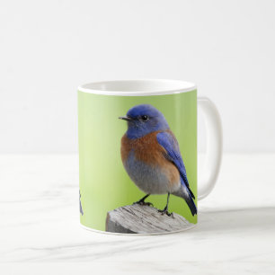 Caneca De Café Macho Western Bluebird Mug