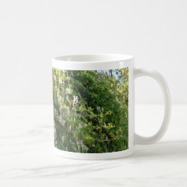 Caneca De Café Madressilva Numa Parede