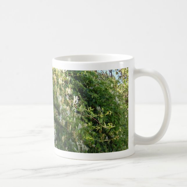 Caneca De Café Madressilva Numa Parede (Direita)