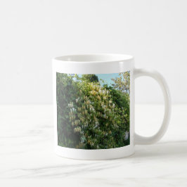 Caneca De Café Madressilva Numa Parede