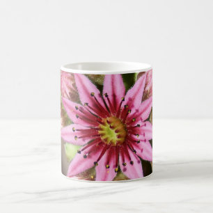 Caneca De Café Mag de café com flor rosa