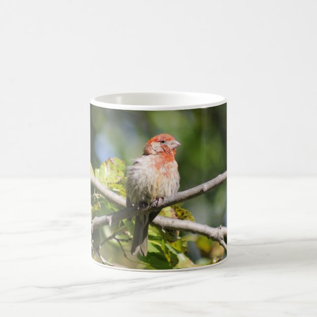 Caneca De Café Mágica-fina-caseira (Centro)