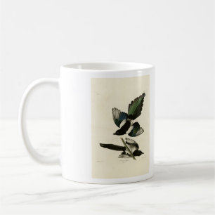 Caneca De Café Magpie Americano das Aves da América de Audubon