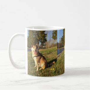 Caneca De Café Malamute do Alasca