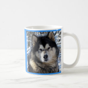 Caneca De Café Malamute do Alasca