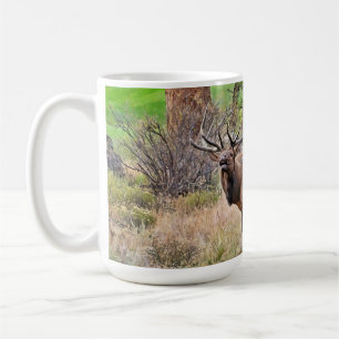 Caneca De Café Male Elk no Parque Estes, Colorado, em setembro