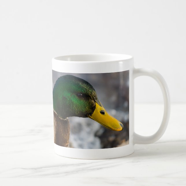 Caneca De Café Male Mallard Portrait Coffee Mug (Direita)
