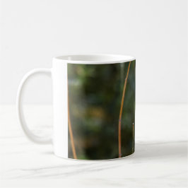 Caneca De Café Male Widow Skimmer Dragonfly