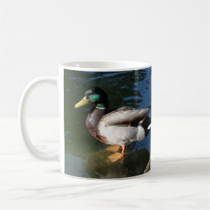 Caneca De Café Mallard Duck