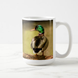 Caneca De Café Mallard Duck
