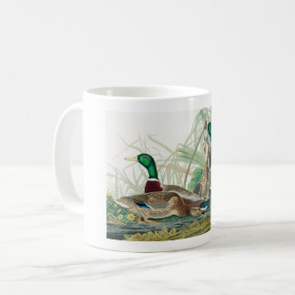 Caneca De Café Mallard Duck, 1834, dos Pássaros da América