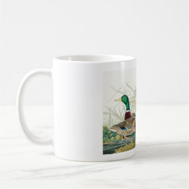 Caneca De Café Mallard Duck, 1834, dos Pássaros da América