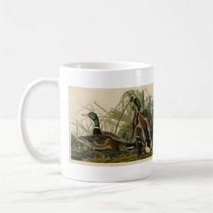 Caneca De Café Mallard Duck do Pássaro da América de Audubon
