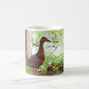 Caneca De Café Mallard e Ducklings por Shirley Taylor