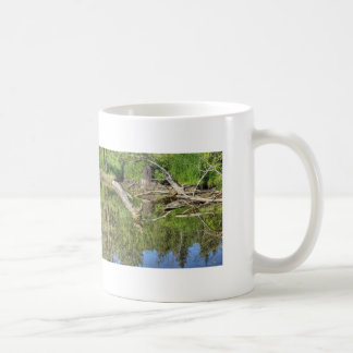 Caneca De Café Mallard no Pond