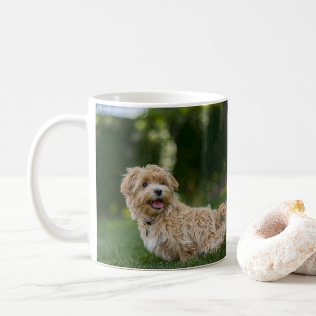 Caneca De Café Maltipoo (Com Donut)