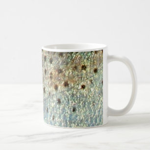 Caneca De Café Manchado "salpicou" Seatrout por PatternWear©