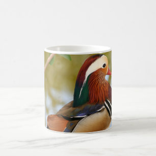 Caneca De Café Mandarin Duck